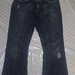 Express Cetine Precision Fit Jeans Size 8R